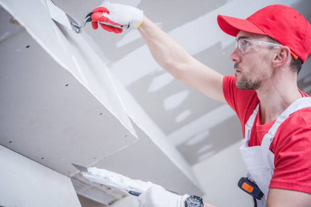 Best Drywall Sanding and Smoothing  in Monahans, TX